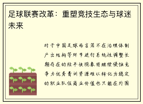 足球联赛改革：重塑竞技生态与球迷未来