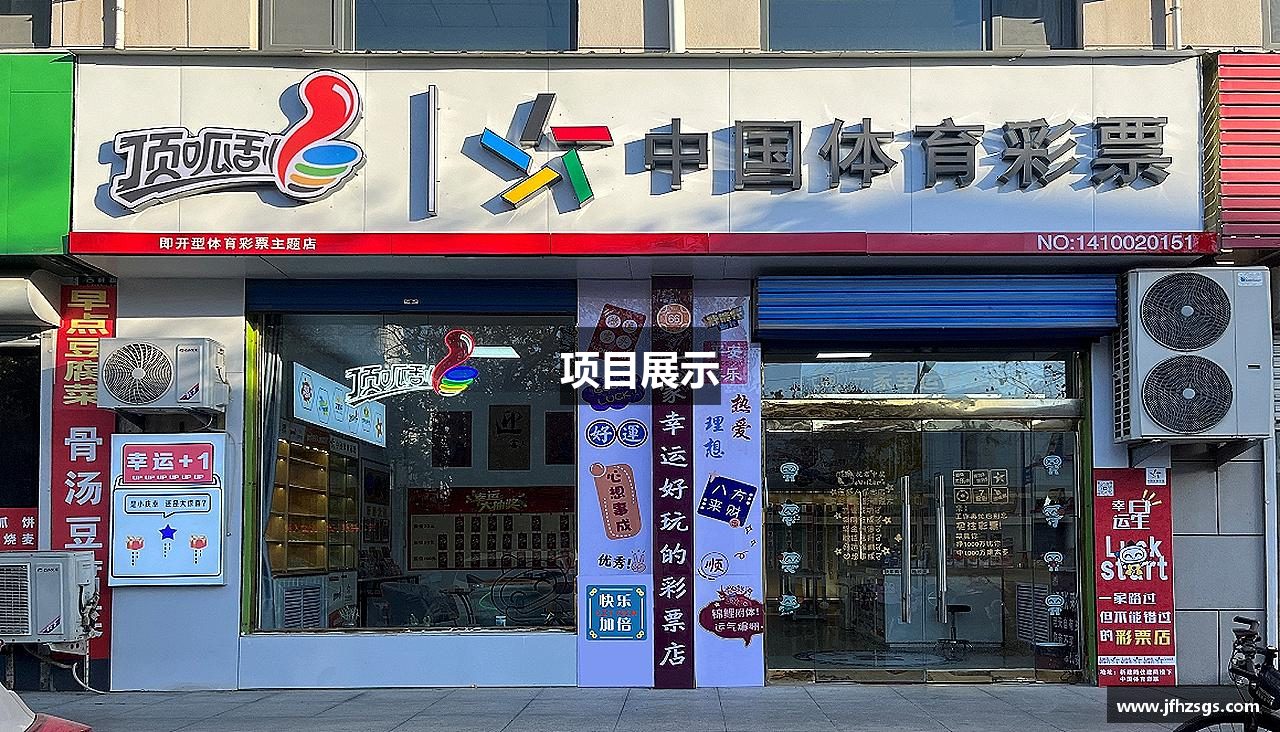 项目展示